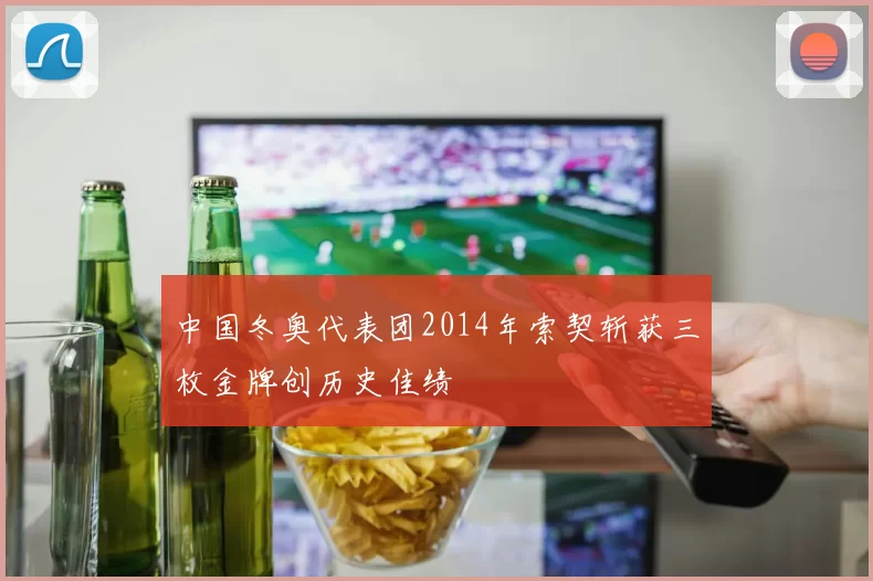 中国冬奥代表团2014年索契斩获三枚金牌创历史佳绩