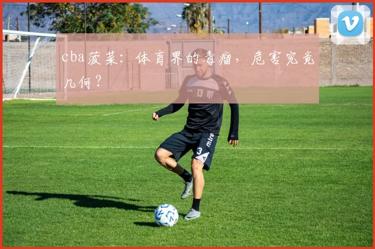 cba菠菜:体育界的毒瘤,危害究竟几何?