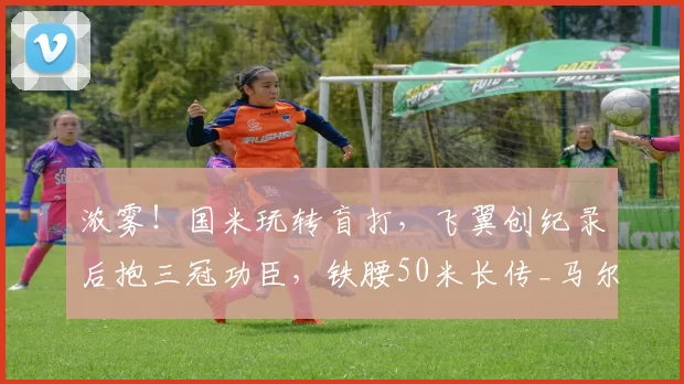 浓雾!国米玩转盲打,飞翼创纪录后抱三冠功臣,铁腰50米长传_马尔科_巴雷拉_球员